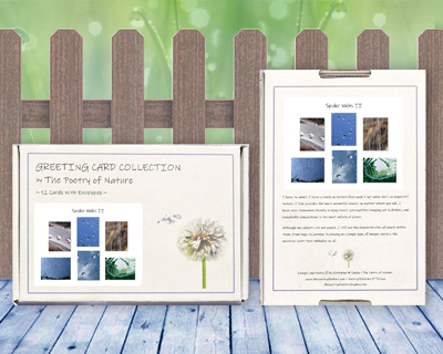 Spider Webs II - Greeting Card Collection by The Poetry of Nature